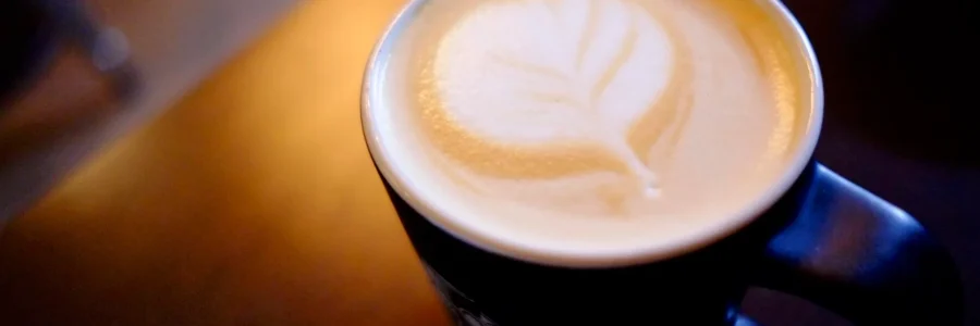 Tail-Cafe-featured